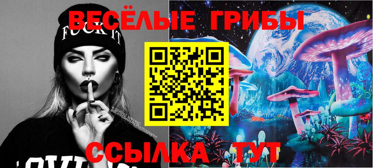 Псилоцибиновые грибы Psilocybe Домодедово