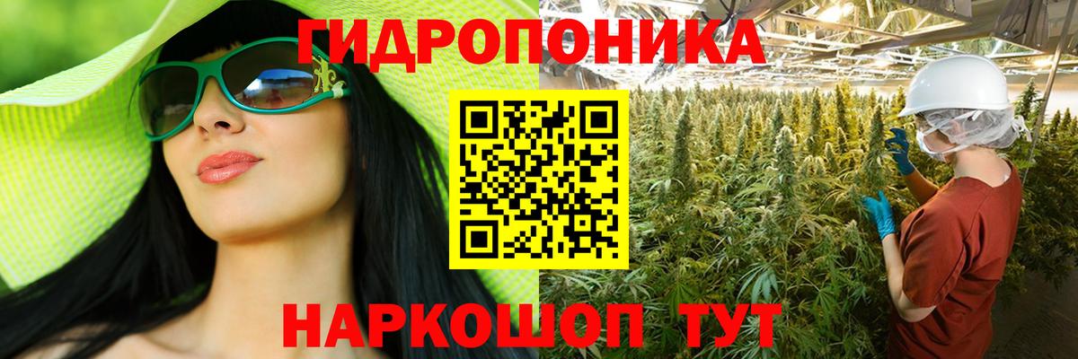 Бошки марихуана марихуана  Марихуана конопля  Вход с VPN  Домодедово 
